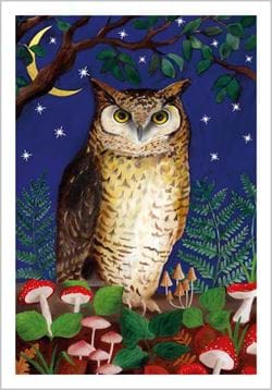 Woodland Owl Greeting Card