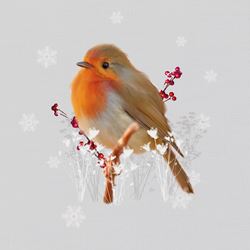 Robins and Berries - Personalised Christmas Card
