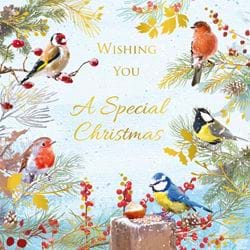 Winter Birds - Personalised Christmas Card
