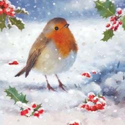 Christmas Robin - Personalised Christmas Card