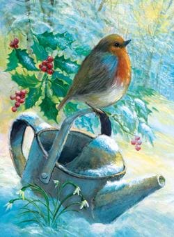 Robin on a Watering Can - Personalised Christmas Card