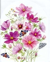 Cosmos Floral Greeting Card