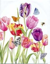 Tulips Greeting Card